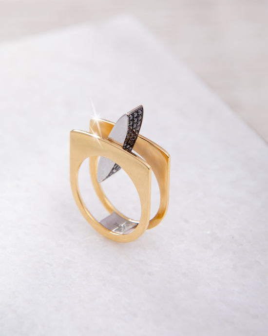 Reversible Ring